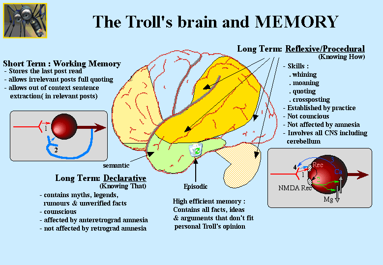 Troll_s_Brain_and_memory